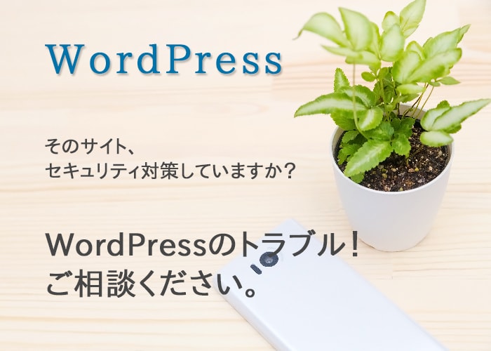 wordpressサイトのセキュリティ対策行います 【危険！】そのサイト、セキュリティ対策していますか？ イメージ1