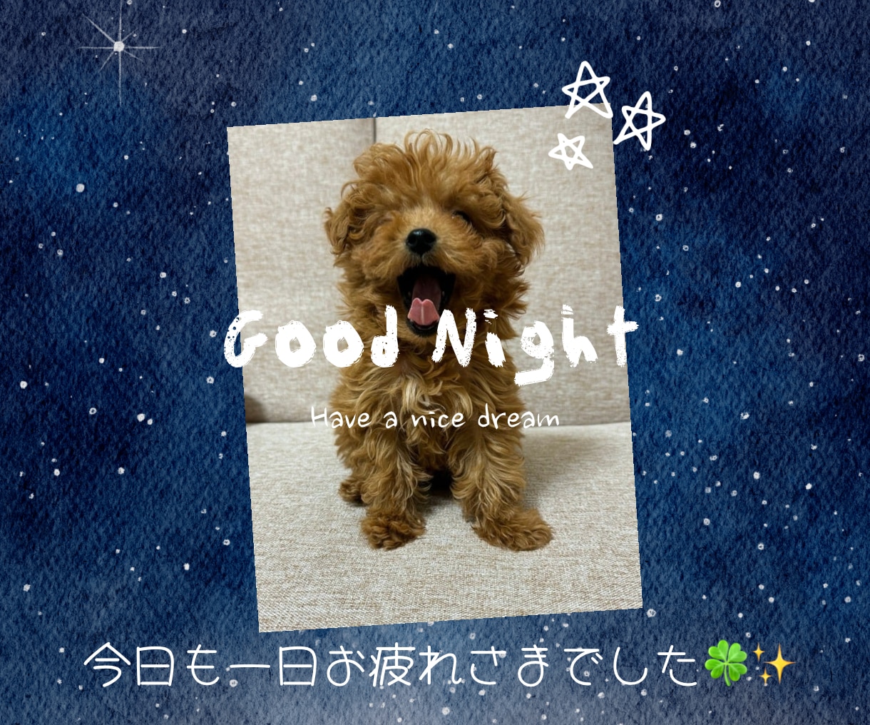 夜のひととき。お話をお聞きします どんなお話でも大丈夫です⭐️眠れない夜にも寄り添います⟡☾ イメージ2