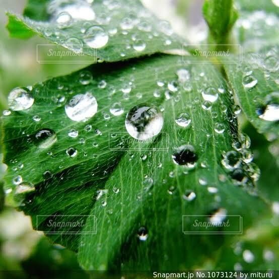 うつの苦しみ☘️とことんお聞きします あなたの心に晴れを☘️苦しみを解き放ちリセットしましょう⭐️ イメージ7