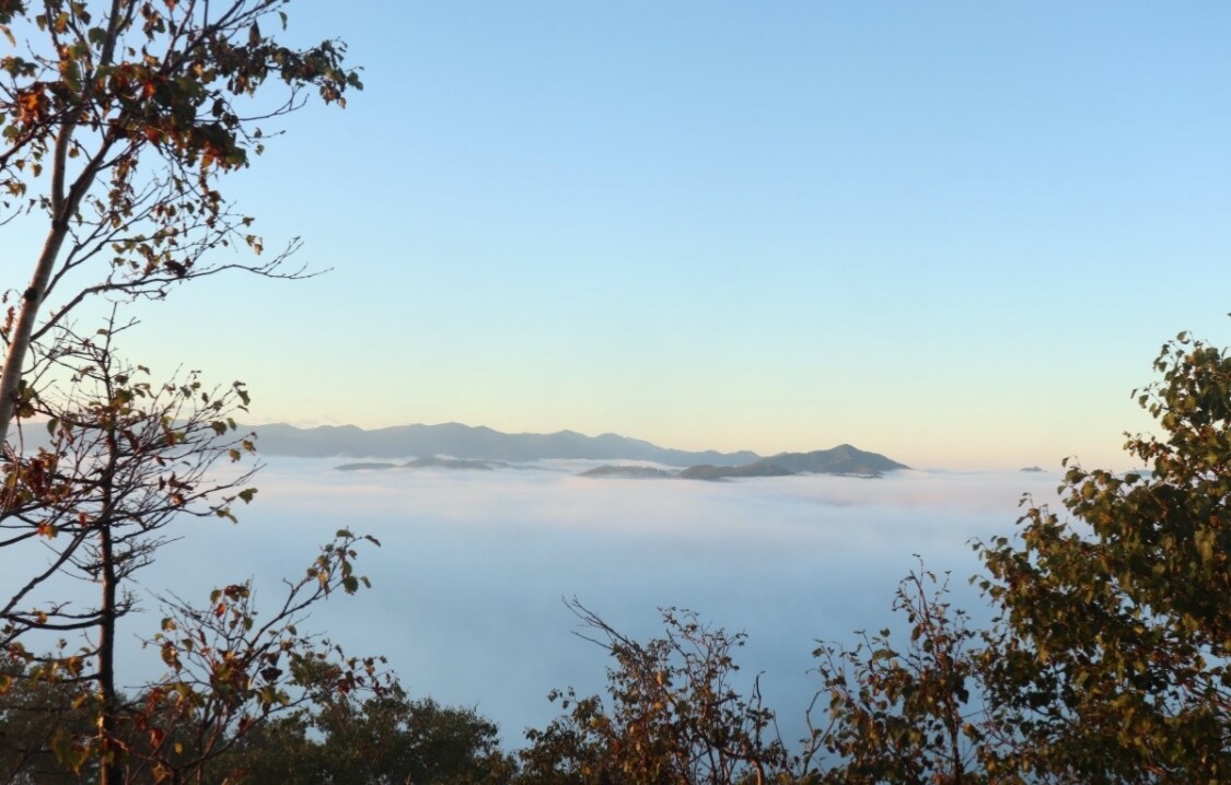 あなたのための北海道旅行プランを考えます 〜楽しい・美味しい・綺麗な北海道を紹介します〜 イメージ3