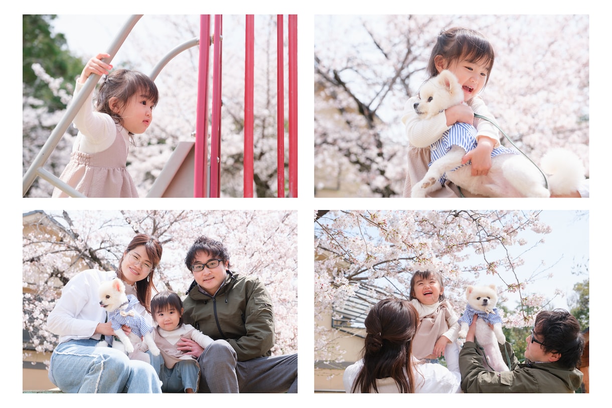 奈良限定！プロ写真家が格安で出張撮影をします 個人写真・家族写真はお任せください！自然な表情を引き出します イメージ1