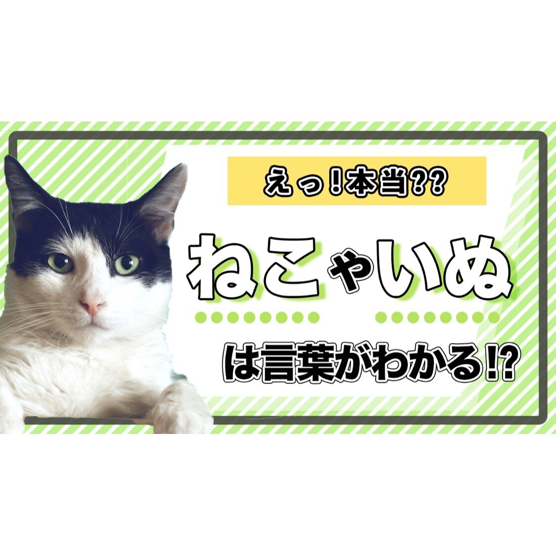 YouTubeサムネイル作成いたします おしゃれ・可愛い・スタイリッシュで目を引くサムネ作ります イメージ3