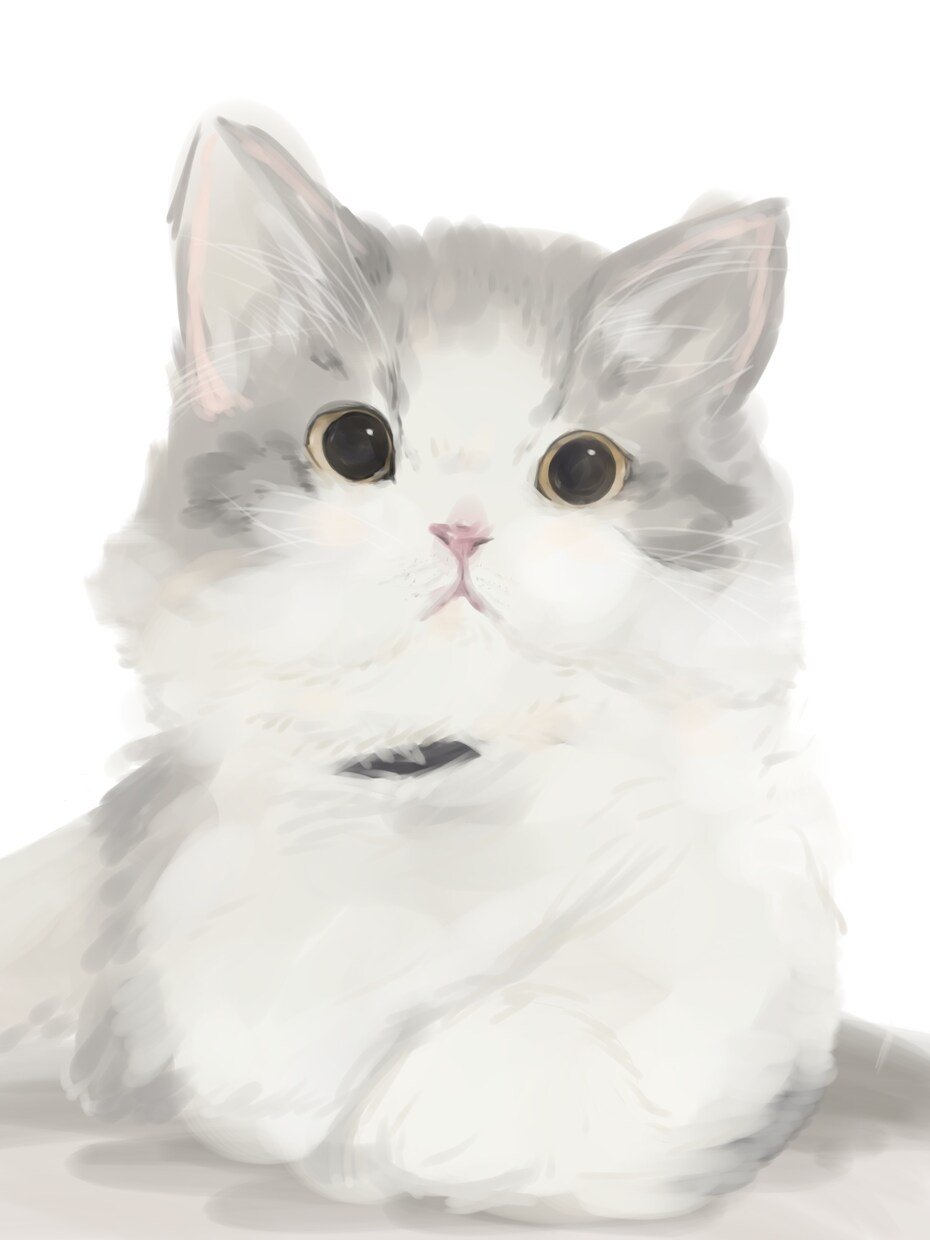 猫ちゃんかきます かわいい猫ちゃんを絵にしませんか イメージ2