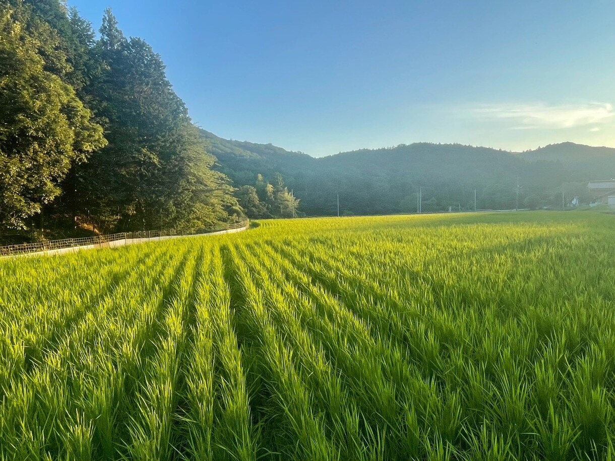移住相談に乗ります いつか移住したい、でも、、、の不安を一歩前進させる イメージ3
