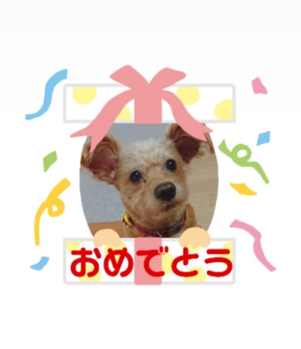 定型枠でラインスタンプをお値打ちに♪作ります 定型枠だから簡単♪お値打ち♪(*^▽^*)です イメージ2