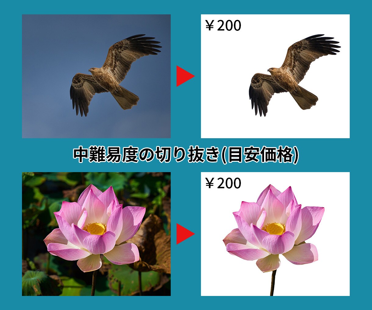 画像を切り抜き(白抜き・背景透過)します 画像の切り抜き加工100円～PSDでの納品も追加料金なし イメージ4
