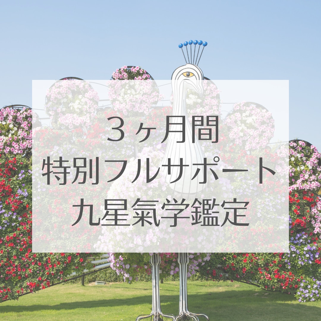 3か月じっくり寄り添いサポート鑑定します 3か月かけて九星氣学を取り入れ、変化や行動をじっくりサポート イメージ1