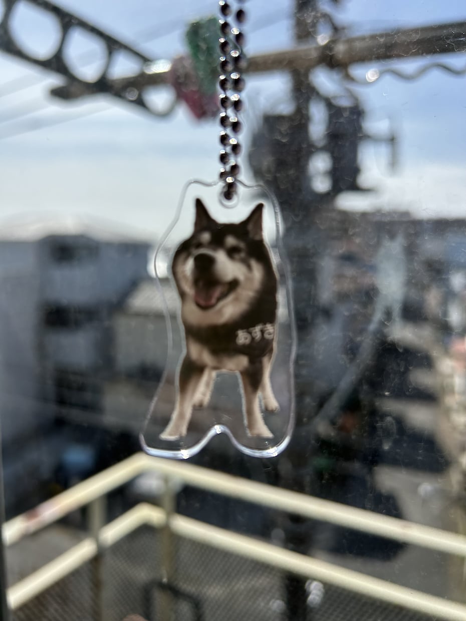 ペットやお子様の写真をアクリル製品に加工します お気に入りの写真データを頂ければレイアウト〜加工までおまかせ イメージ2