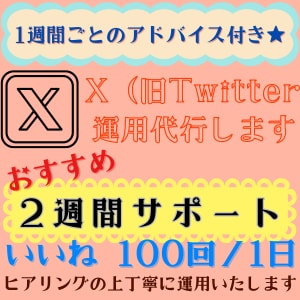 アドバイス付き★いいね【2週間】x運用代行します 代行で時短＆効果的な『いいね』でフォロワー増につなげます♪ イメージ1