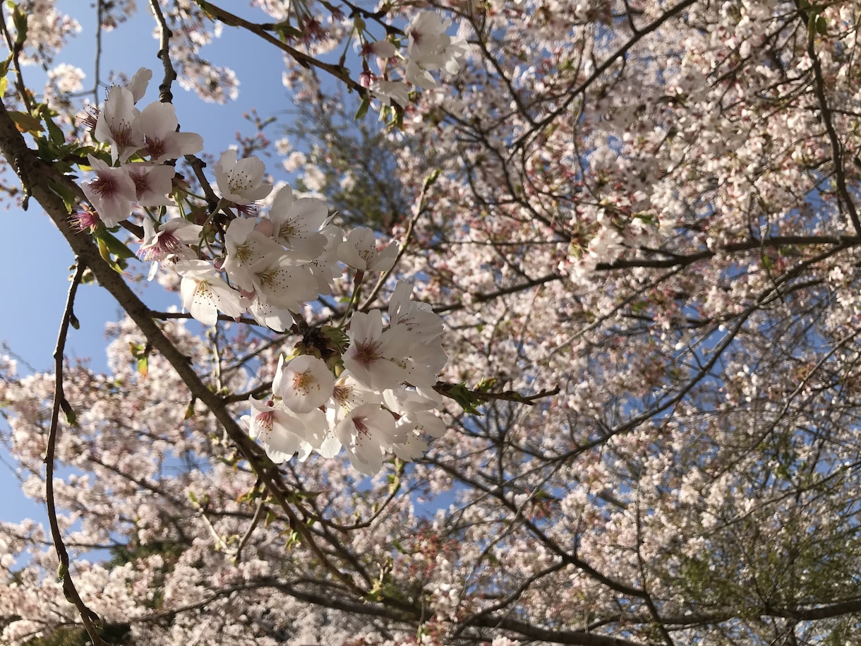 楽になって下さい♡ただただお話聞きます お話して少しでも楽になりませんか？♡ イメージ2