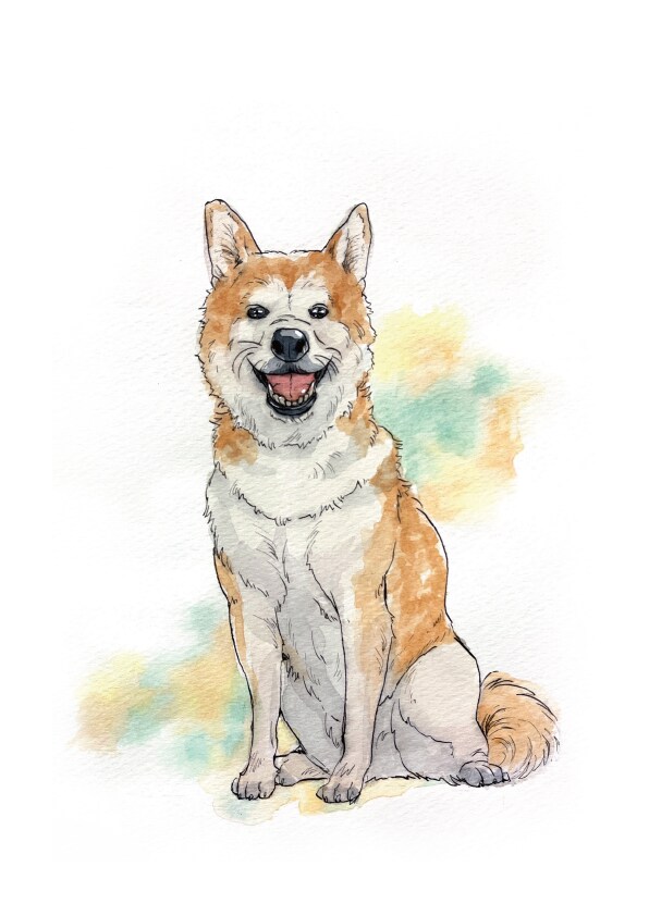 動物似顔絵・手描きの水彩で描きます 鮮やかなタッチの水彩画で、思い出をアートとして残しませんか? イメージ8