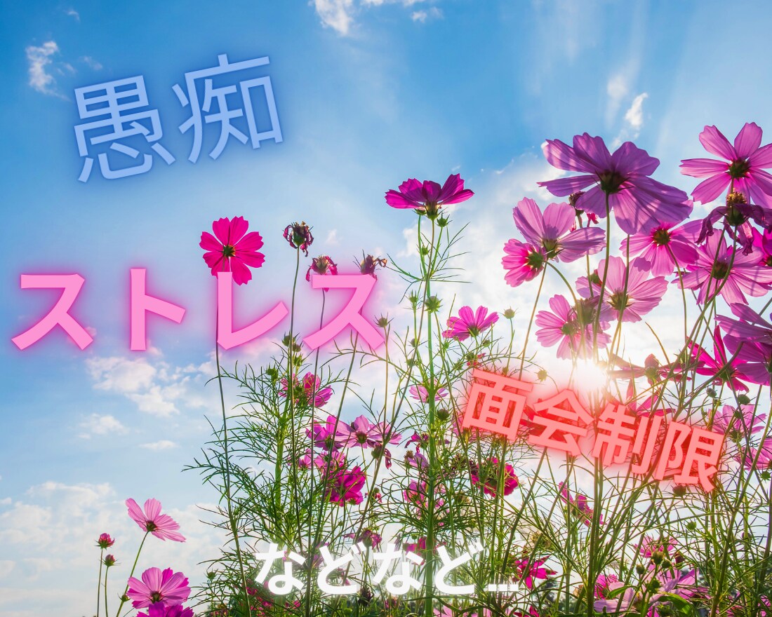 介護のあれこれ ？？に経験者が相談お話聴きます 介護疲れ/お悩み/愚痴/ストレス/相談/入退院/面会制限 イメージ4