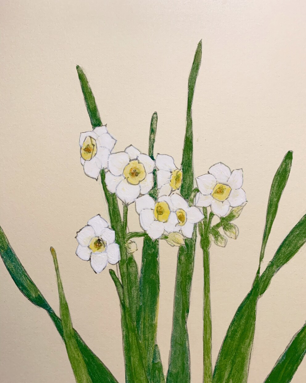 手書きイラスト承ります 動物・植物など、まずはなんでもご相談どうぞ。着彩は水彩です。 イメージ8