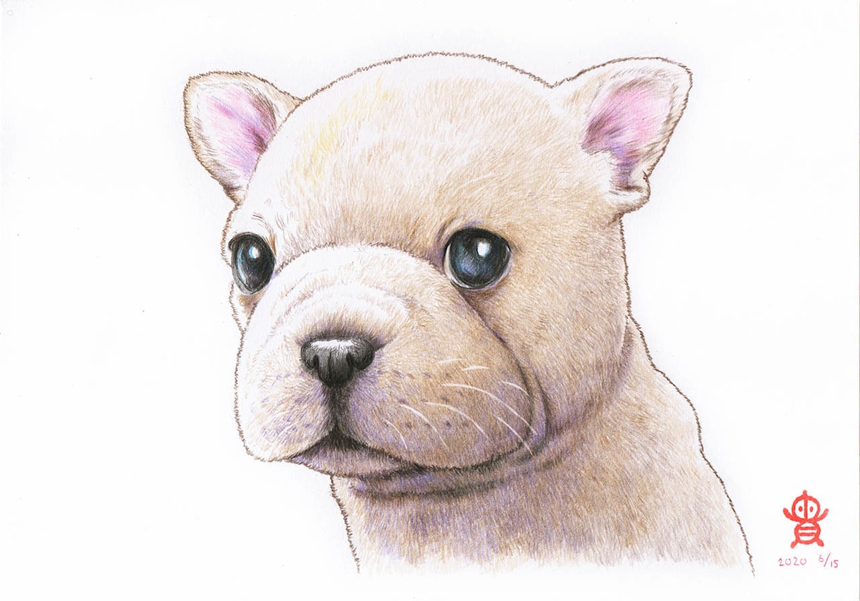 ペット・動物似顔絵お描きします 可愛いペット・動物を鉛筆／色鉛筆でスケッチ風、写実系似顔絵に イメージ3