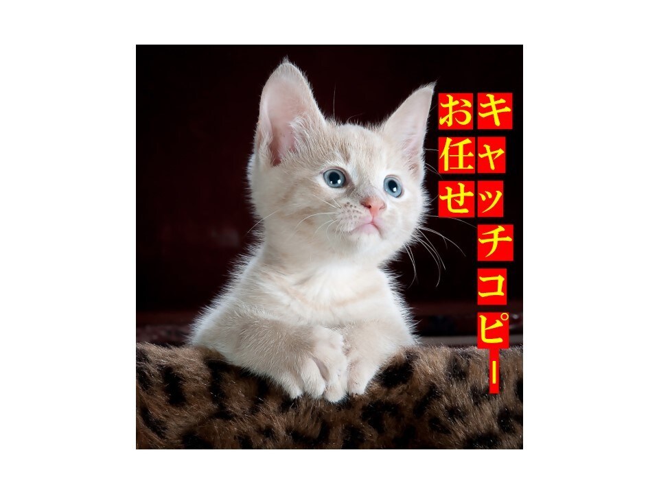20個のキャッチコピー考えます 度(速＆精)　キャッチコピー屋さん　～スピード＆クオリティ～ イメージ1