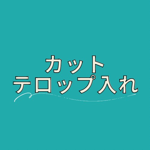 動画のテロップ入れ・カットします 僕に編集作業のお手伝いをさせて下さい イメージ1