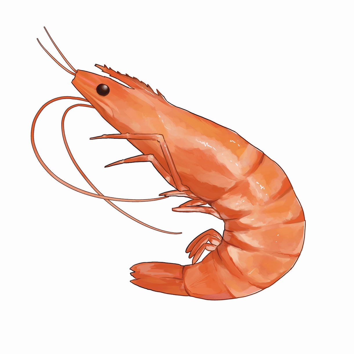 手描き食べ物イラスト作成します リアル寄りだけど手描き感のあるイラスト イメージ10