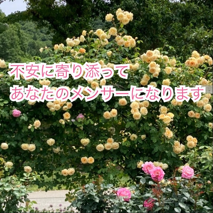 不倫・再構築♡占い&心理支援♡あなたに寄り添います 不倫発覚・再構築どうすればいいの？一人で悩まないで！ イメージ3