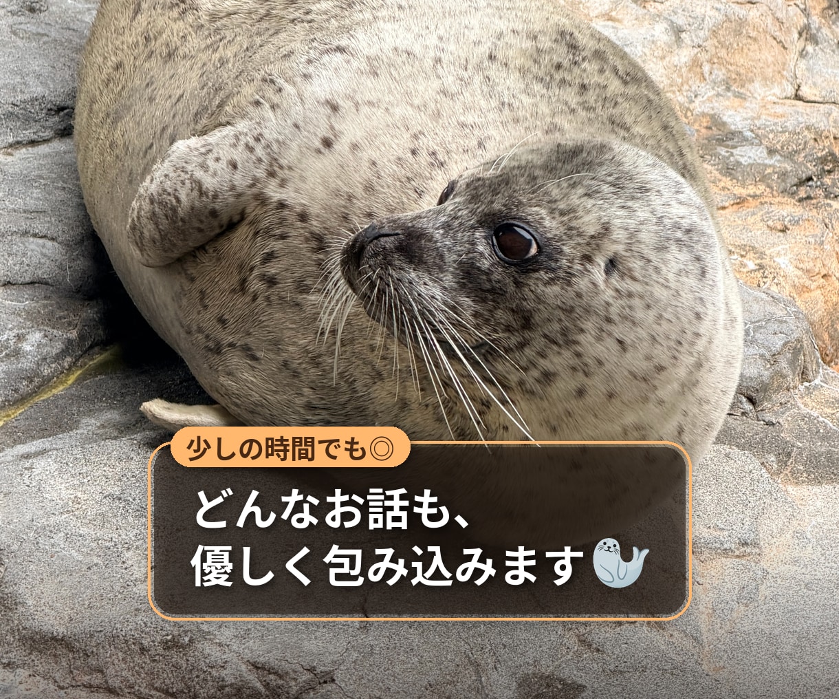 否定せず、穏やかに、すべてを受け止め寄り添います 元プロゲーマー関西人とあざらしが、いつでもあなたの味方です イメージ1