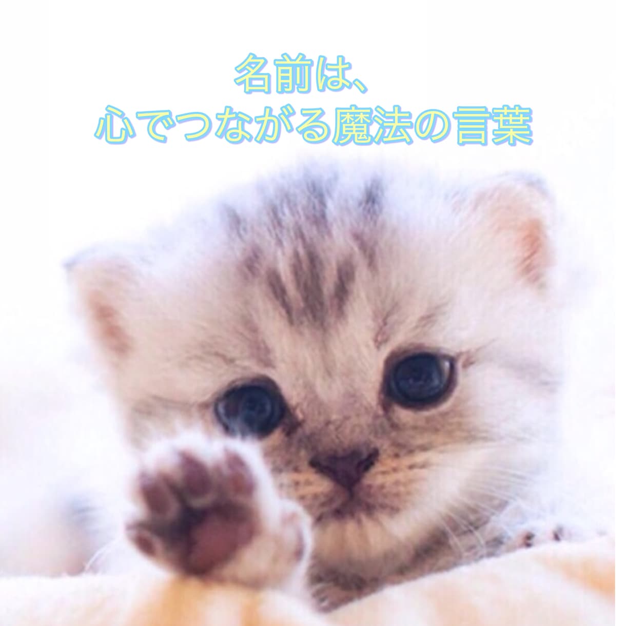あなたのペットさんに運命の名前を提案します 音・波動・ご縁から導く名づけを イメージ3