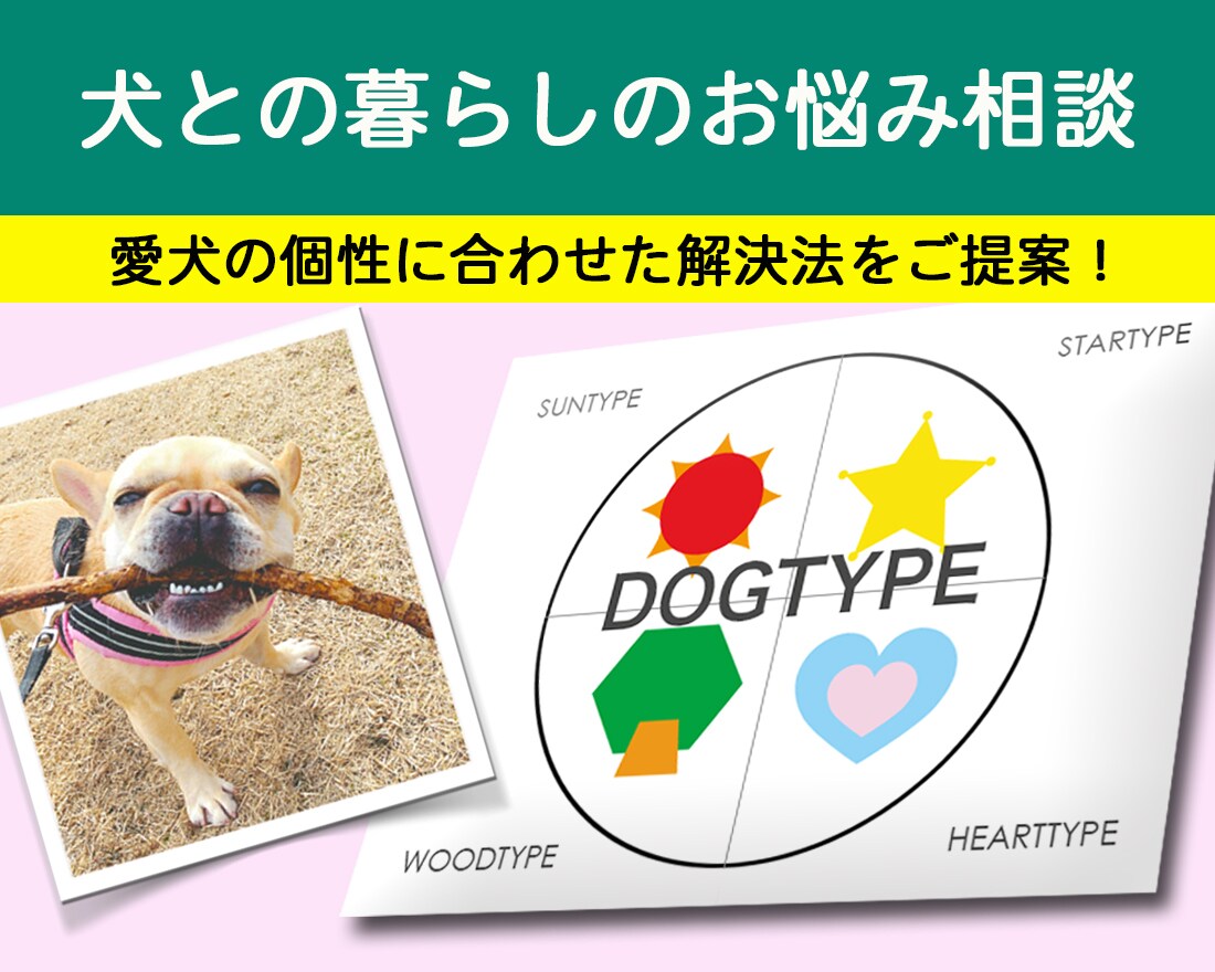 犬との暮らしのお悩み相談します ⭐︎⭐︎愛犬の個性、性格に合わせたご提案をします！ イメージ1
