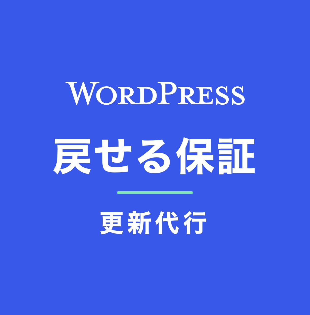 戻せる保証つきでWordPressを更新します 複製環境で検証してから更新。前後比較レポートも納品します イメージ1