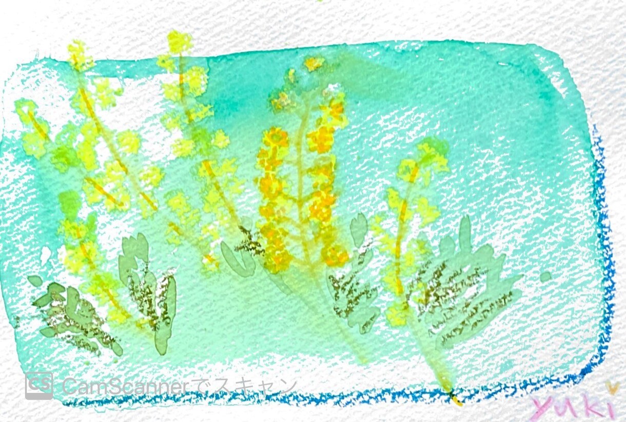 イラストを描きます クレヨン、水彩、色鉛筆を使い風景、花、野菜、などを描きます。 イメージ1