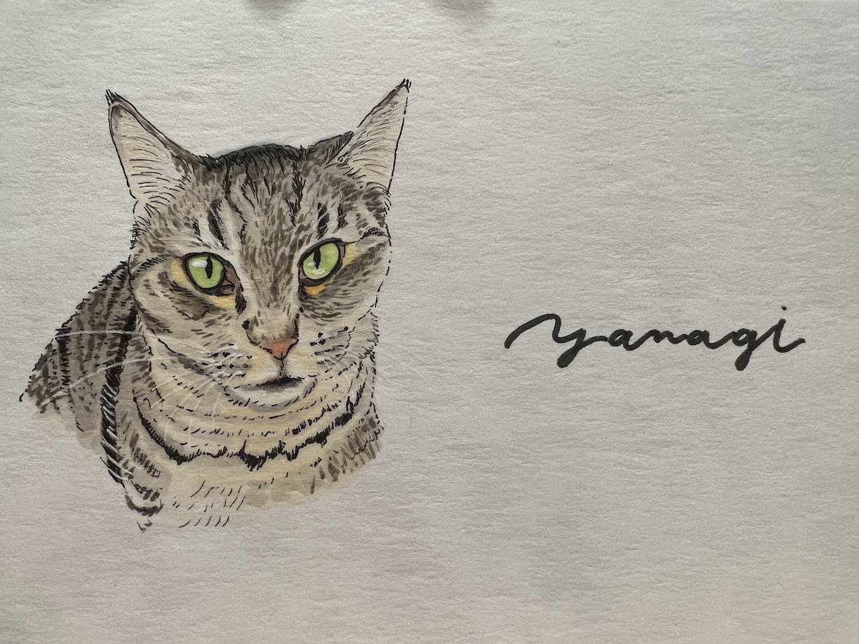 シンプルめの似顔絵描きます プレゼントやお祝いに似顔絵も添えてみませんか？ イメージ5