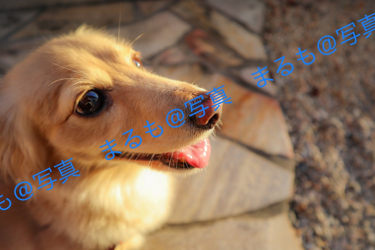 1〜3カットまで！広告等で使える写真を提供します 使い勝手の良い写真をお求めの方に！ イメージ4
