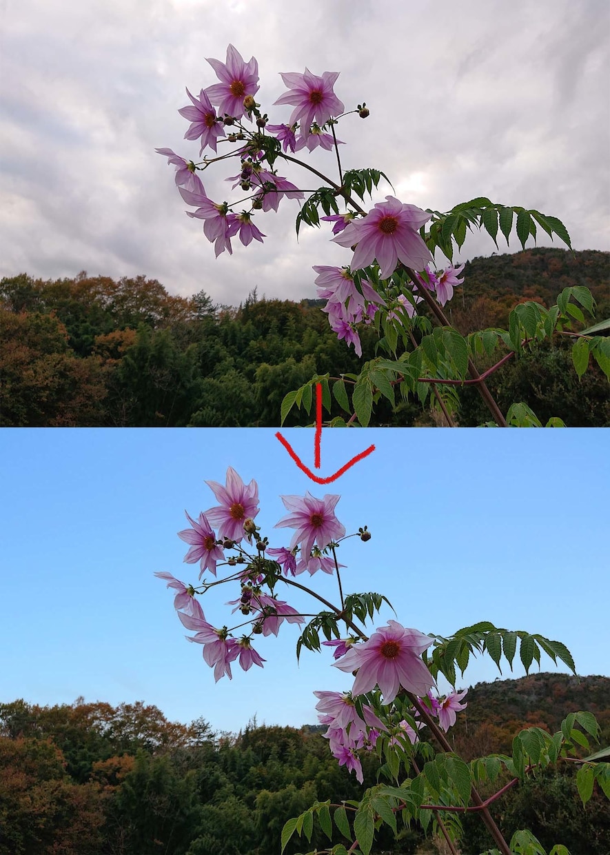 写真合成、編集、加工いたします フォトショップを使用して写真を加工します イメージ3