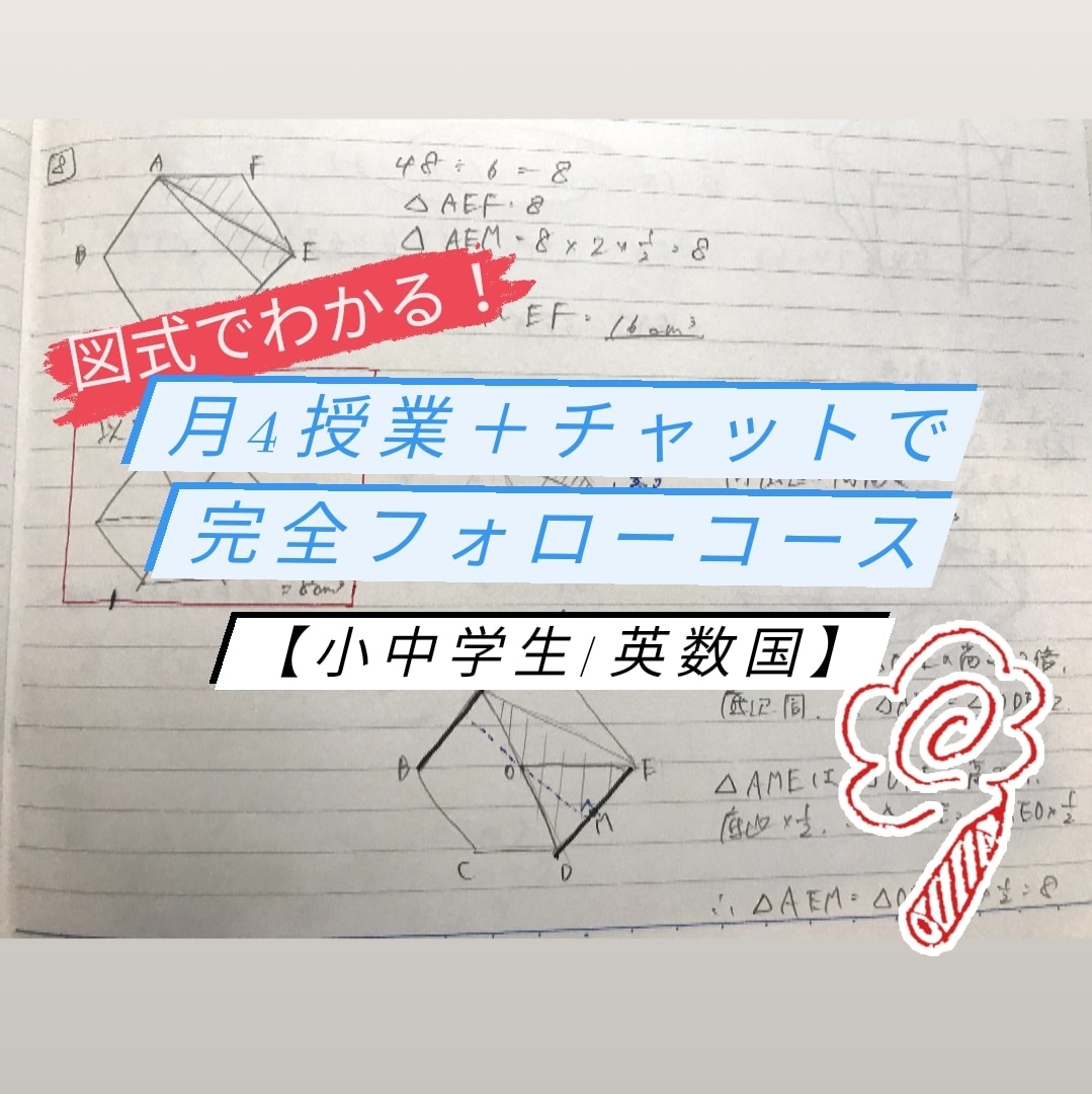 図式で分かり易い授業＋24hチャットフォローします 月4回＋チャット/小中/英数/平均点以下～受験/高リピート率 イメージ1