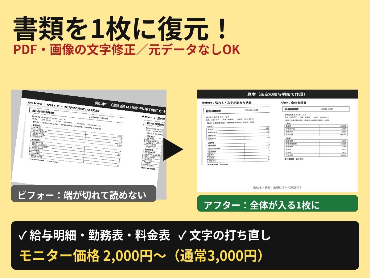 給与明細・書類を清書｜PDF・画像の文字修正します 元データなしOK。切れた・崩れた書類を全体が入る1枚に イメージ1
