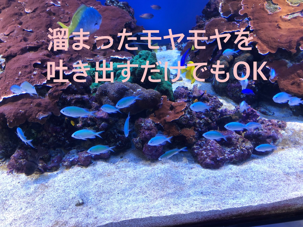 介護疲れ･お悩み お聞きします 現役 介護職員をしています｡介護疲れ･お悩み吐き出しませんか イメージ2