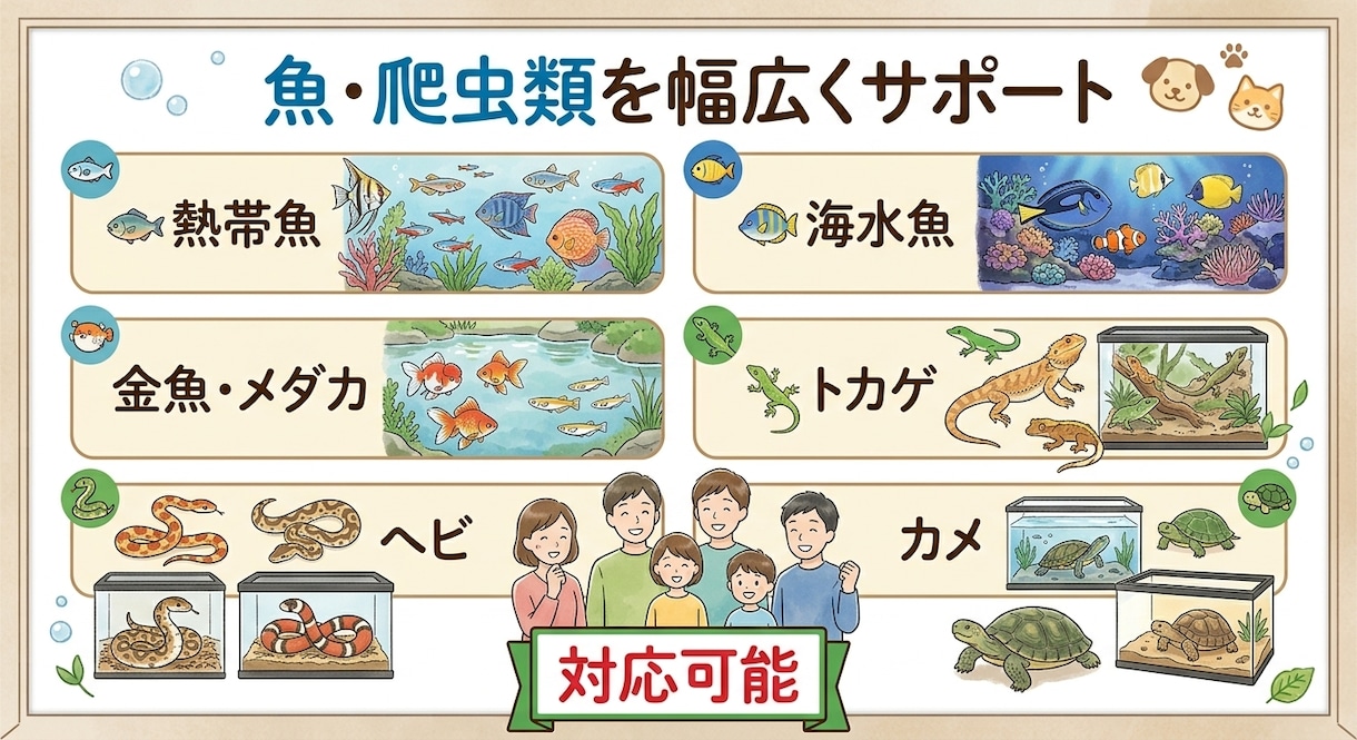 元水族館飼育員が魚・爬虫類の飼育お悩み相談のります 熱帯魚・金魚・メダカから爬虫類まで元水族館飼育員がアドバイス イメージ4