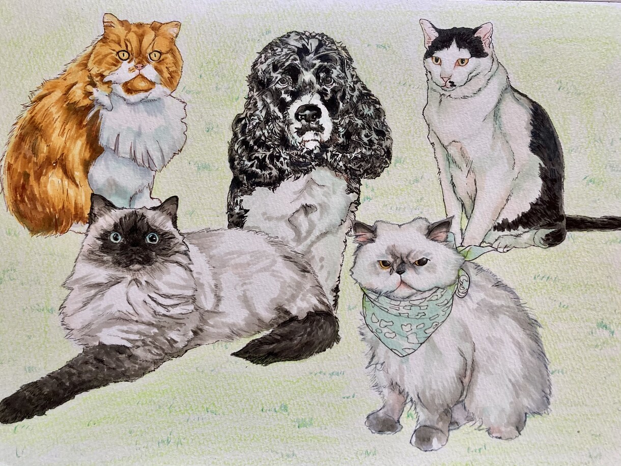 リアルタッチのペットイラスト描きます ペット•動物イラストの制作経験多！ご希望によって絵柄変更可！ イメージ6