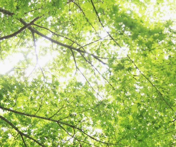 幸せなのに心が晴れない時あなたのお話しお聞きします 1分からOK！夢/結婚/パートナー/子育て/仕事/願望 イメージ6