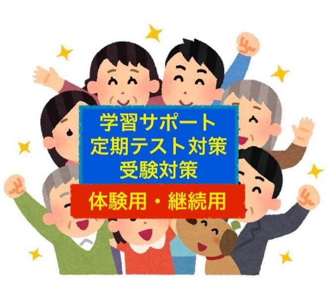 小中高・既卒の方のオンライン家庭教師をします 深夜対応も可能です。日中忙しい方の学び直しにも◎ イメージ1