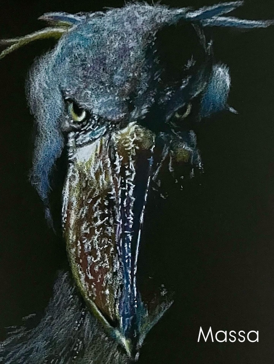 黒紙に色鉛筆でリアルな絵を描きます 黒紙アートとは他にない黒紙に色鉛筆でリアルな絵を描くアート イメージ4