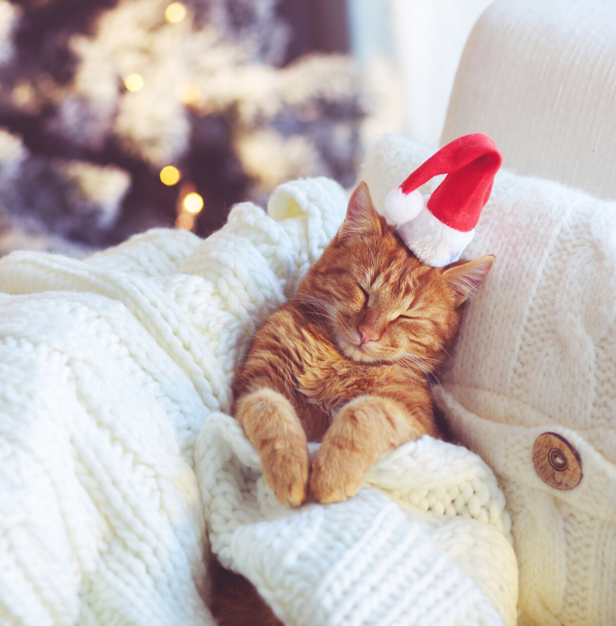 12月23日まで！X’mas限定鑑定行います ※１通鑑定※　あの人の真実の想いに触れる時です。 イメージ6