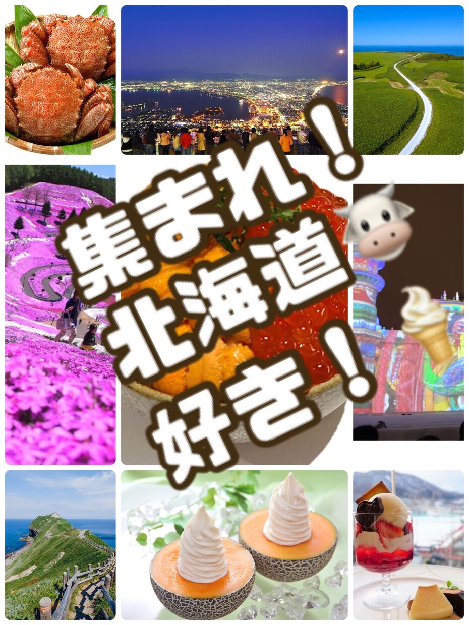 北海道の魅力・疑問・アレコレ教えます 北海道好きな方・ご旅行・ご出張・移住される方へ☆テキスト版 イメージ1