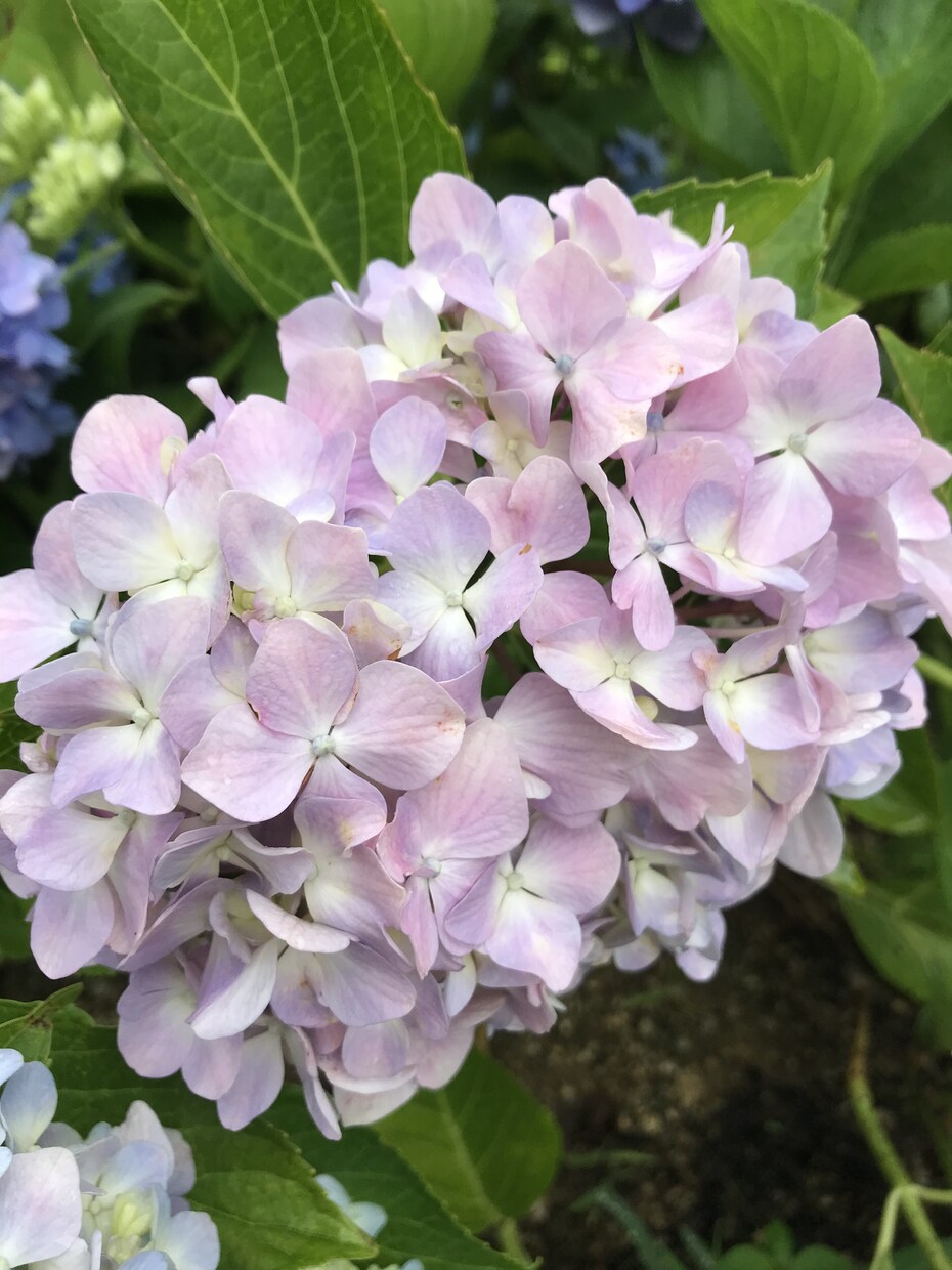 あなたの居場所はすぐそこにあります あなたがあなたを癒し労わり愛せる居場所 イメージ8
