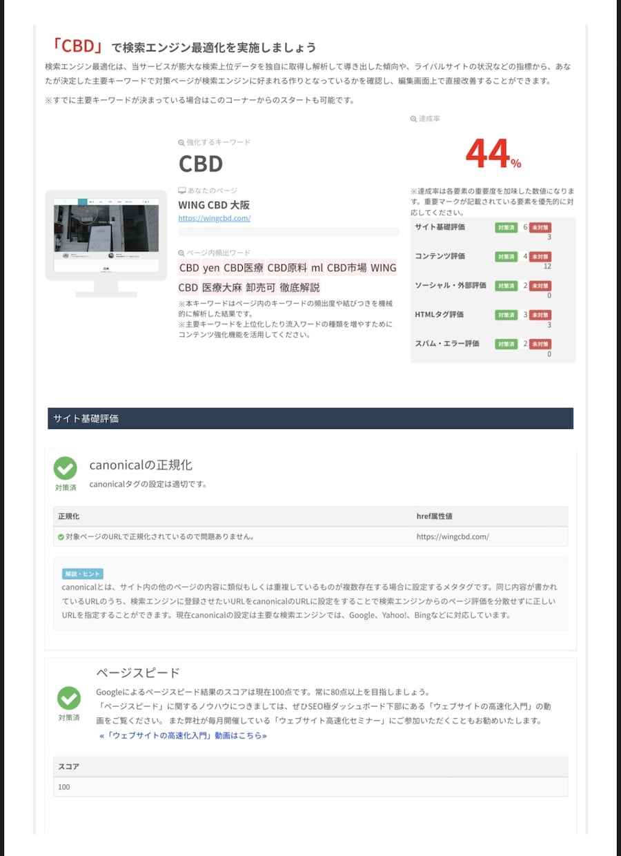 SEO対策分析レポートを最安で提供します WEBサイトやECサイトを分析し課題と解決策を提案します イメージ1