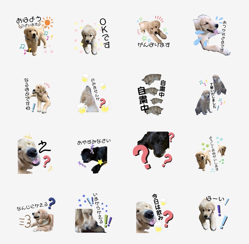 ペットやお子様の写真からLINEスタンプ作成します 8個3500円〜♪かわいい写真をスタンプで自慢しちゃお〜☆ イメージ4