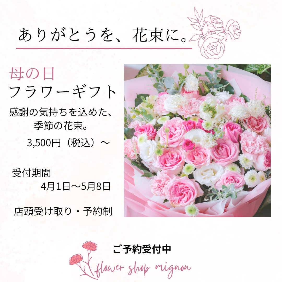CanvaでSNS投稿画像を3枚制作します Instagram投稿を見やすく丁寧にデザインします イメージ3
