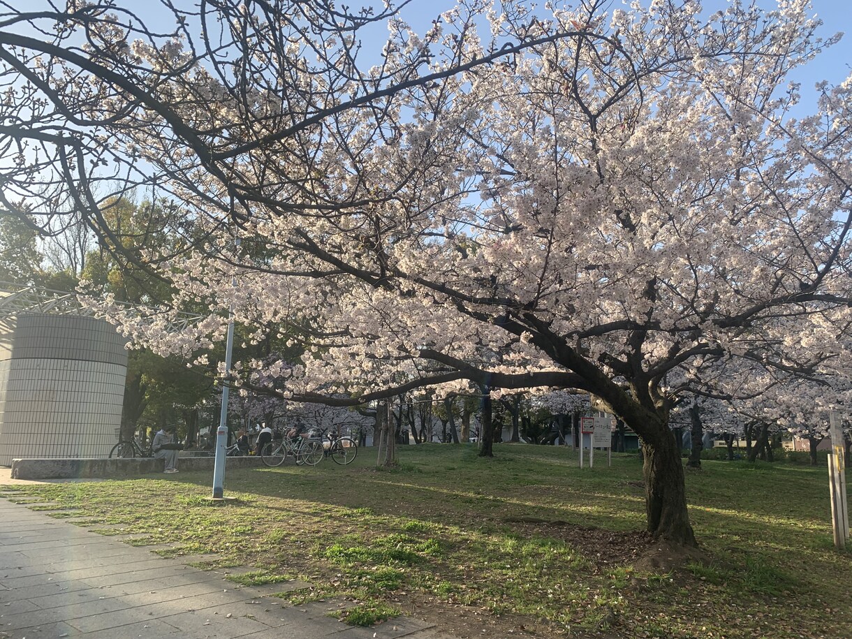 看護学生　看護師　保健師　就職活動ご相談になります 看護学生　看護師　保健師　就職転職活動 イメージ1