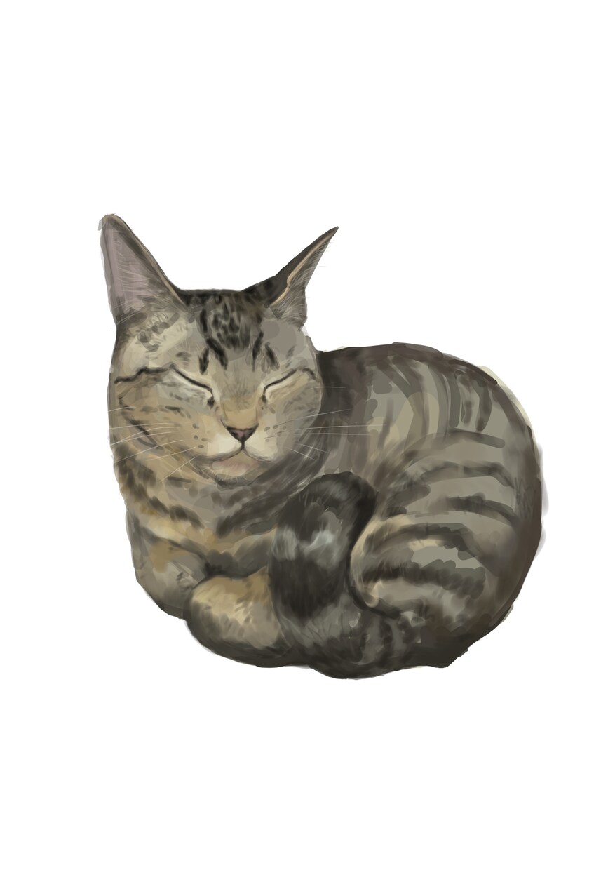 うちのこ描きます 猫ちゃん、わんちゃんを可愛くデジタルで描きます！ イメージ2