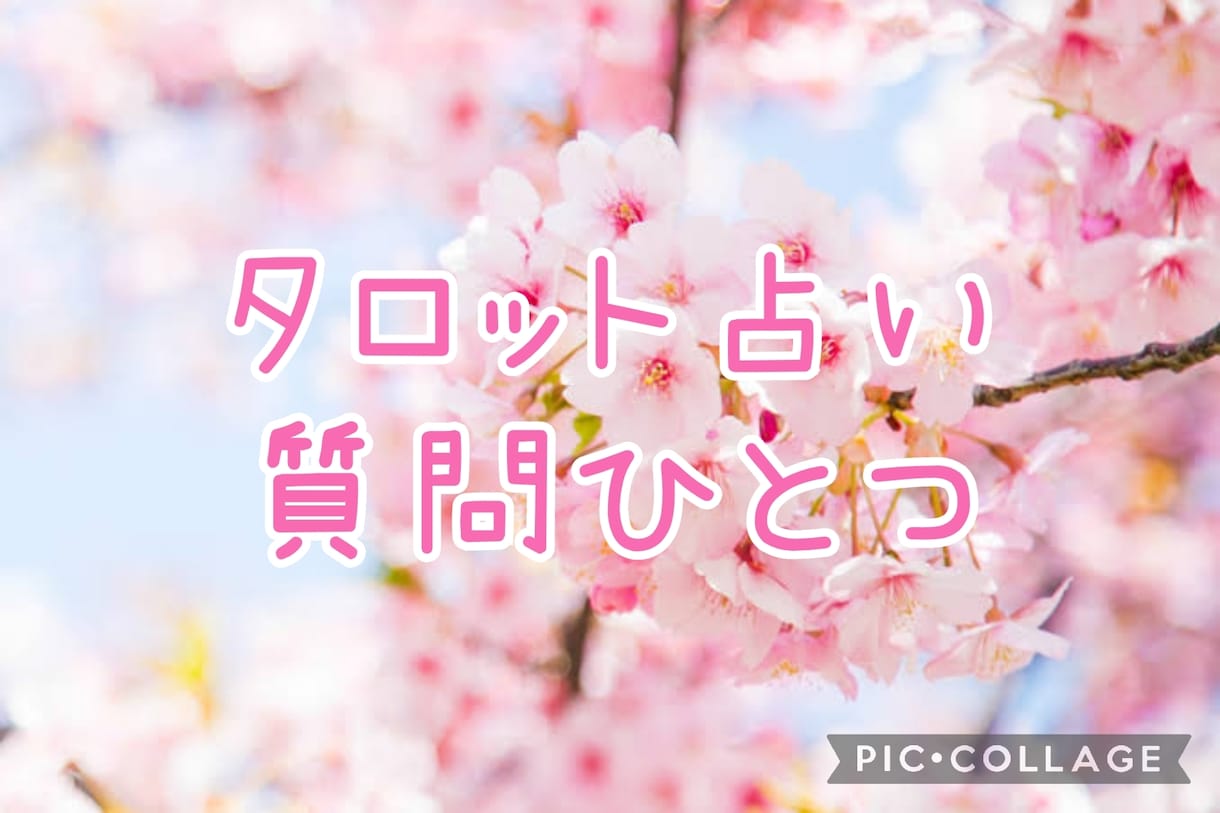 タロット占い  ひとつの質問にお答えします あなたの質問おひとつまずは解決しませんか？ イメージ1