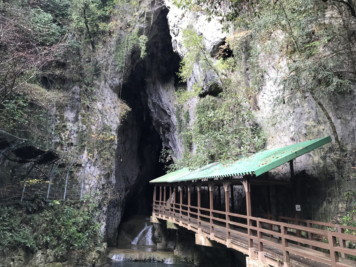 国内旅行の相談乗ります 47都道府県制覇した経験を活かして相談に乗ります イメージ9