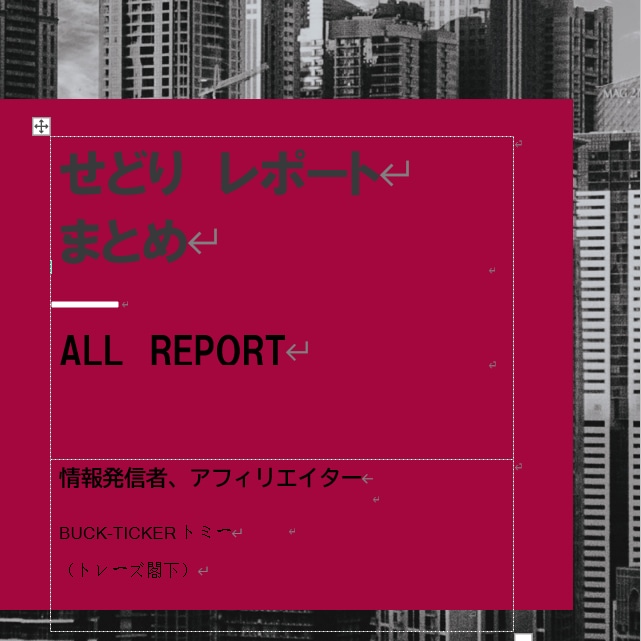 初心者用：せどりレポートすべてお見せします 私が過去に発表してきたせどりレポートすべてをあなたの手に イメージ2