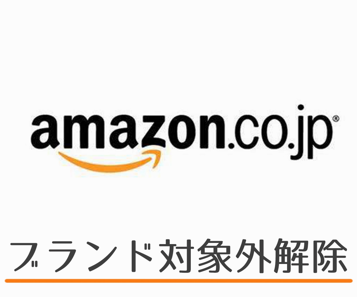 ブランド登録、ブランド申請を対象外から解除します 10年以上の出品経験で強力サポート イメージ1